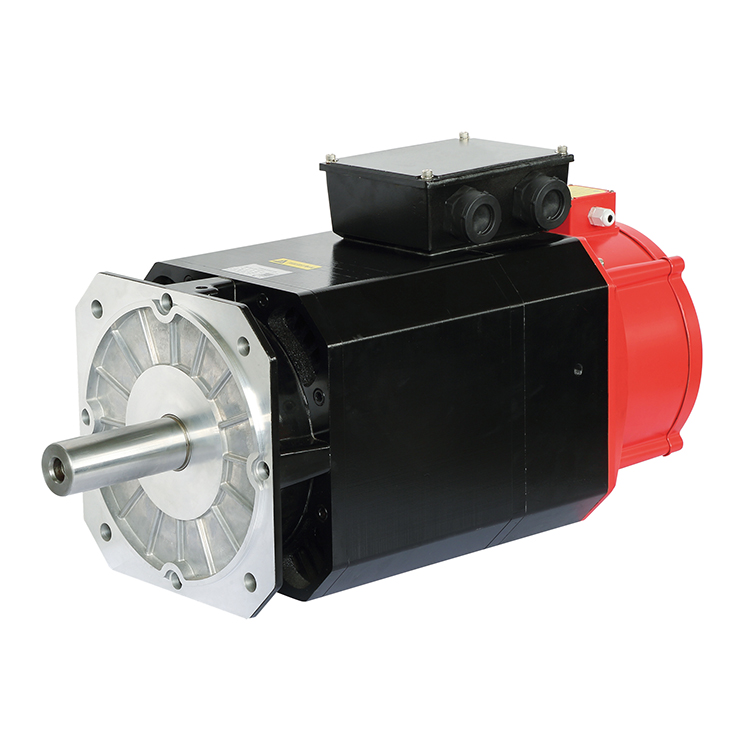 250 spindle servo motor